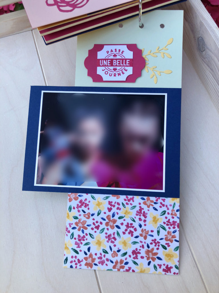 Énorme Lot Crop In Style PSB – Scrapbooking, Souvenirs Créatifs, Stickers – 10 Livres